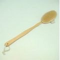 Wooden Shower Bath Brush w/ Detachable Handle